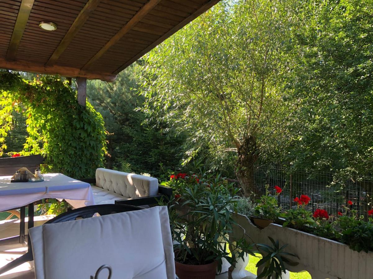 Boutique Garden By Brancoveanu Moieciu de Jos